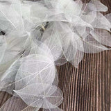 Christmas Gift 5~9CM*2~3.5CM,95PCS High Quality Real Dried Natural Vajra Leaf Vein,Pressed Dry Flowers Skeleton Leaves,DIY Wedding Decoration