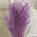 Christmas Gift 70g /35~45CM Natural Fresh Valentine Grass Preserved Flowers,Real Natural Love Grass Forever Plant Dancing Flower For Home Decor