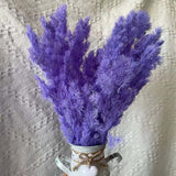 Christmas Gift Length:35-43CM/About 65-70g Natural dried flowers ,Preserved Flowers Penglai Pine,Eternelle Plant Asparagus Myriocladus Bouquet