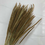 Christmas Gift 60PCS/35-40CM Dried Natural Flowers Eternelle Hypericum Japonicum Branch,Dry Goldenrod  Small Pampas Grass For Home Decor