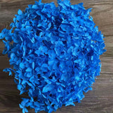 Christmas Gift 20g/lot ,Long Time Lasting Natural Fresh Preserved Flowers Dried Hydrangea Flower Head For IY Real Eternal Life Flowers Material