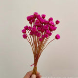 Christmas Gift 100PCS/~ 0.3CM Head,Real Dried Natural Mini Brazilian Pleasure Flower Branch,Miniature Dry Happy Flower Bouquet  For Home Decor