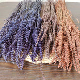 Christmas Gift 50g/About 50PCS,40CM Real Natural Dried Flowers,Preserved Lavender Bouquet That Some Flower Grain will fall off For Home Decor
