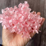 Christmas Gift 20g/lot ,Long Time Lasting Natural Fresh Preserved Flowers Dried Hydrangea Flower Head For IY Real Eternal Life Flowers Material