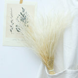 1 Bouque Real Feather Grass Preserved Flowers,Dry Natural Immortal Plant,Filamentou Forver Flower Bouquet Wedding Decoration