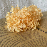 Christmas Gift 20g/lot ,Long Time Lasting Natural Fresh Preserved Flowers Dried Hydrangea Flower Head For IY Real Eternal Life Flowers Material