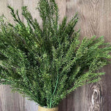 Christmas Gift 30~45CM/70g Real Dried Natural preserved Melaleuca,Decorative Eternal Grass,Forever Fresh Dry plants For Christmas Decoration