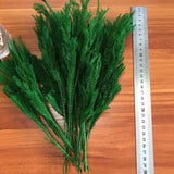 Christmas Gift 20-30CM/30g Real Dried Natural Fresh Forever Lycopodium Branches,Decorative Club Moss Bouquet,Dry preserved Eternal Grass,Home