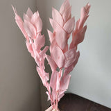 Christmas Gift 5PCS/30~40CM Natural Dried Preserved Lily Bamboo Flowers Bouquet,Eternelle Orange Leaves Branch,Home Decor,Wedding Decorations