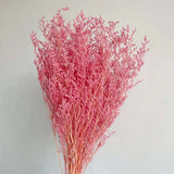 Christmas Gift 60g /35~45CM Natural Fresh Valentine Grass Preserved Flowers,Real Natural Love Grass Forever Plant Dancing Flower For Home Decor