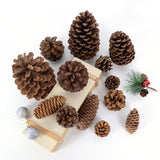 1-10pcs Natural Dried Plants Pine Cone Acorn Artificial Flower For DIY ChristmasScrapbooking Garland Wreath Wedding Decoration