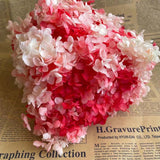 Christmas Gift 20g/lot ,Long Time Lasting Natural Fresh Preserved Flowers Dried Hydrangea Flower Head For IY Real Eternal Life Flowers Material