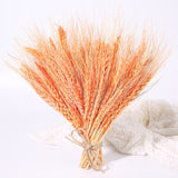 50PCs Natural Dried Wheat Ear Flower Real Flowers Bouquet Ornaments Wedding Decoration for Home Decor DIY Party Christmas Plants