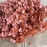 Christmas Gift 20g/lot ,Long Time Lasting Natural Fresh Preserved Flowers Dried Hydrangea Flower Head For IY Real Eternal Life Flowers Material