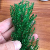 Christmas Gift 20-30CM/30g Real Dried Natural Fresh Forever Lycopodium Branches,Decorative Club Moss Bouquet,Dry preserved Eternal Grass,Home