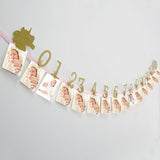 WEIGAO 1st Birthday Party Photo Garland Baby Shower First Birthday Girl Boy Party Monthly Picture 1-12 Months Photo Props 1 Year