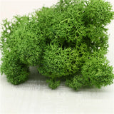 Christmas Gift High quality artificial green plant immortal fake flower Moss grass home living room decorative wall DIY flower mini accessories