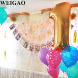 WEIGAO 1st Birthday Party Photo Garland Baby Shower First Birthday Girl Boy Party Monthly Picture 1-12 Months Photo Props 1 Year