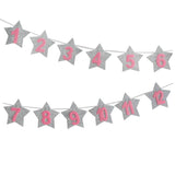 WEIGAO 1st Birthday Party Photo Garland Baby Shower First Birthday Girl Boy Party Monthly Picture 1-12 Months Photo Props 1 Year