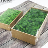 Christmas Gift High quality artificial green plant immortal fake flower Moss grass home living room decorative wall DIY flower mini accessories