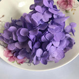 Christmas Gift 20g/lot ,Long Time Lasting Natural Fresh Preserved Flowers Dried Hydrangea Flower Head For IY Real Eternal Life Flowers Material