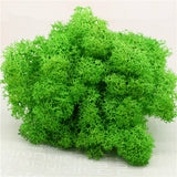 Christmas Gift High quality artificial green plant immortal fake flower Moss grass home living room decorative wall DIY flower mini accessories