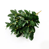 Christmas Gift Green Artificial Rhododendron leaves silk Long Stem Fake Plants for Home Store Wedding Jungle Party Decoration Faux Foliage