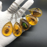 Christmas Gift Charm Natural Amber+ Key chain Resin Insect Specimen Scorpion Butterfly beetle spider Key ring Jewelry Gifts for Women Men