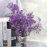 Christmas Gift Natural Fresh Dried Preserved Flowers Gypsophila Paniculata,Baby's Breath Flower Bouquets Gift For Wedding Party Decoration