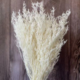 Christmas Gift 70g /35~45CM Natural Fresh Valentine Grass Preserved Flowers,Real Natural Love Grass Forever Plant Dancing Flower For Home Decor