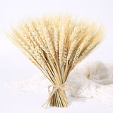 50PCs Natural Dried Wheat Ear Flower Real Flowers Bouquet Ornaments Wedding Decoration for Home Decor DIY Party Christmas Plants