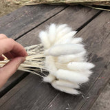 Christmas Gift 30-35CM/100PCS Dry Hare's Tail grass Flower,Dried Natural Flowers Rabbittail Bouquet,DIY Craft for Home Decoration,Wedding