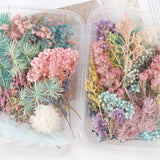 1pack DIY Multi Color Natural Dried Flowers for Handmade Decorations Accessories Dried Leaves Flower Heads Scrapbooking Decor