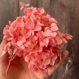 Christmas Gift 20g/lot ,Long Time Lasting Natural Fresh Preserved Flowers Dried Hydrangea Flower Head For IY Real Eternal Life Flowers Material