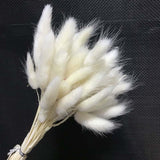 Christmas Gift 35-40CM/50PCS Dry Bunny Tails Grass ,Dried Natural Flowers Rabbittail Bouquet,DIY Hare's Tail Flower For Home Decor,Wedding