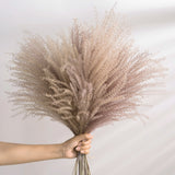 30Pcs Natural Dried Pampas Grass Reed Flowers Bouquet Wedding Decoration Real Dry Flower Decor For Room Preservadas Flores