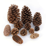 1-10pcs Natural Dried Plants Pine Cone Acorn Artificial Flower For DIY ChristmasScrapbooking Garland Wreath Wedding Decoration