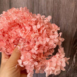 Christmas Gift 20g/lot ,Long Time Lasting Natural Fresh Preserved Flowers Dried Hydrangea Flower Head For IY Real Eternal Life Flowers Material