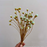 Christmas Gift 100PCS/~ 0.3CM Head,Real Dried Natural Mini Brazilian Pleasure Flower Branch,Miniature Dry Happy Flower Bouquet  For Home Decor