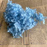 Christmas Gift 20g/lot ,Long Time Lasting Natural Fresh Preserved Flowers Dried Hydrangea Flower Head For IY Real Eternal Life Flowers Material