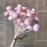 Christmas Gift 1-2CM Head/45PCS Real Dried Natural Flowers  Flower,Eternal Dry Small Brazilian Daisy Branch For Home Decor,Wedding