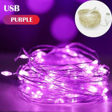 Christmas Gift 5 Colors LED Outdoor Light String Fairy Garland Battery Power Copper Wire Lights For Christmas Festoon Party Wedding