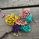 Christmas Gift The specified color is not accepted,Color random !!! Natural Dried Fresh Preserved Millet Flowers Heads,Eternal Dry Rice Flower