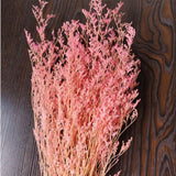 Christmas Gift 70g /35~45CM Natural Fresh Valentine Grass Preserved Flowers,Real Natural Love Grass Forever Plant Dancing Flower For Home Decor