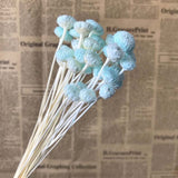 Christmas Gift 1-2CM Head/45PCS Real Dried Natural Flowers  Flower,Eternal Dry Small Brazilian Daisy Branch For Home Decor,Wedding