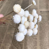 Christmas Gift 1-2CM Head/45PCS Real Dried Natural Flowers  Flower,Eternal Dry Small Brazilian Daisy Branch For Home Decor,Wedding