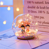 Christmas Gift Birthday Present Bedroom Child's Gift Lamp Girl Heart Led Light for Girl Room Decoration Crystal Ball Desktop Decoration Lights