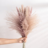 30Pcs Real Dried Reed Flowers Bouquet Home Wedding Decoration Table Flores Preservadas Natural Pampas Grass Decor For Room