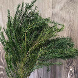 Christmas Gift 30~45CM/70g Real Dried Natural preserved Melaleuca,Decorative Eternal Grass,Forever Fresh Dry plants For Christmas Decoration