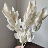 Christmas Gift 5PCS/30~40CM Natural Dried Preserved Lily Bamboo Flowers Bouquet,Eternelle Orange Leaves Branch,Home Decor,Wedding Decorations